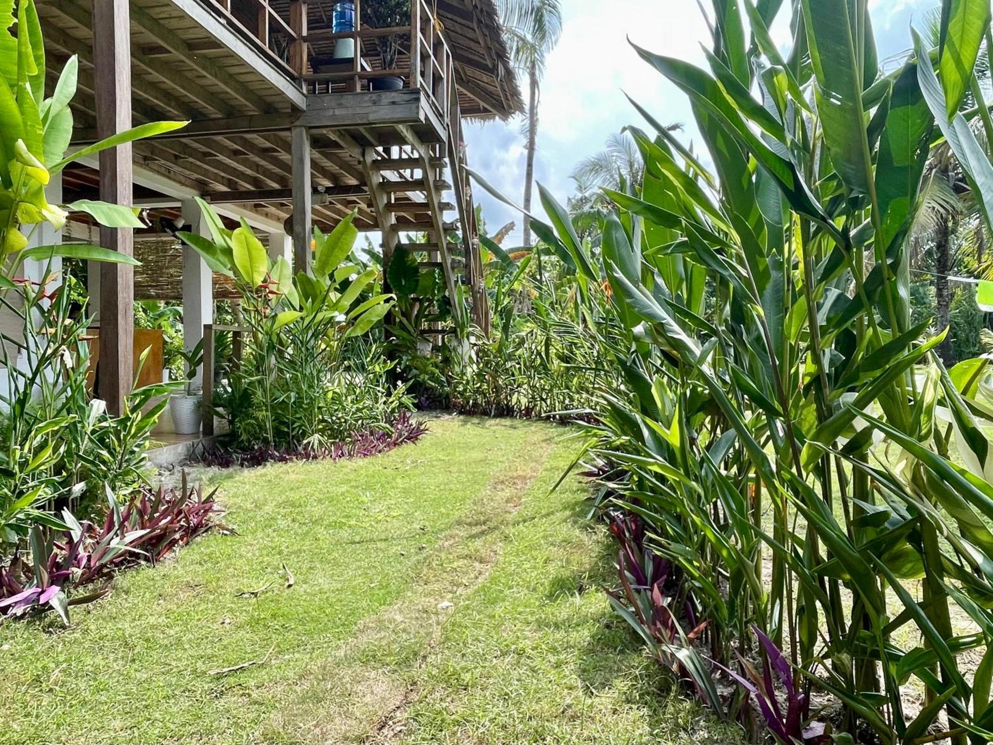 Siargao Sunflower Suites General Luna (Surigao del Norte) Exterior foto